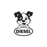 Durable Diesel Tag for Fuel Protection