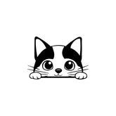 Zaqiz Monster Stickers – Ride with a Wild Look