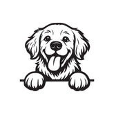 Drive With Awesomeness