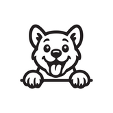 Drive Like a Cat – Chill & Sharp