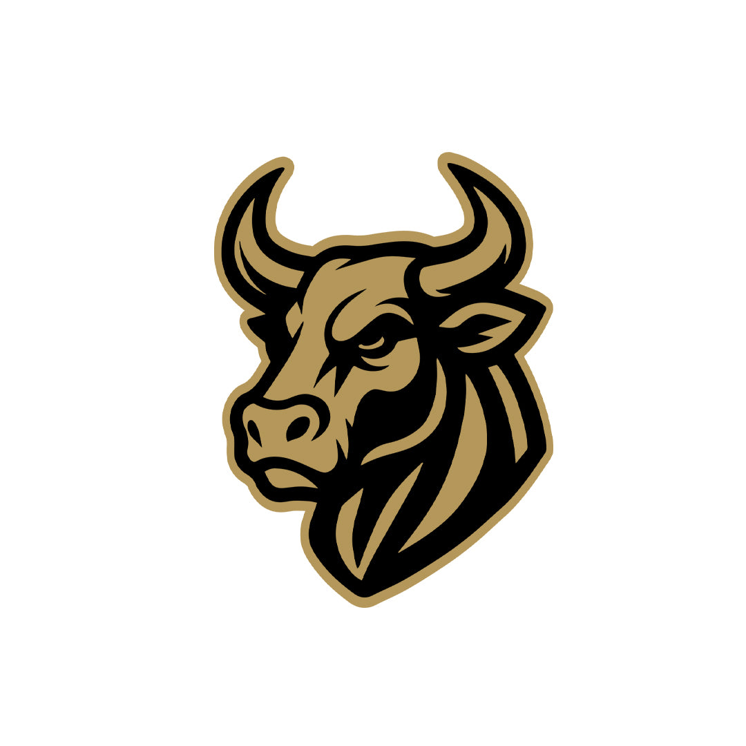 Furious Bull Wall Sticker – Peel and Stick Design