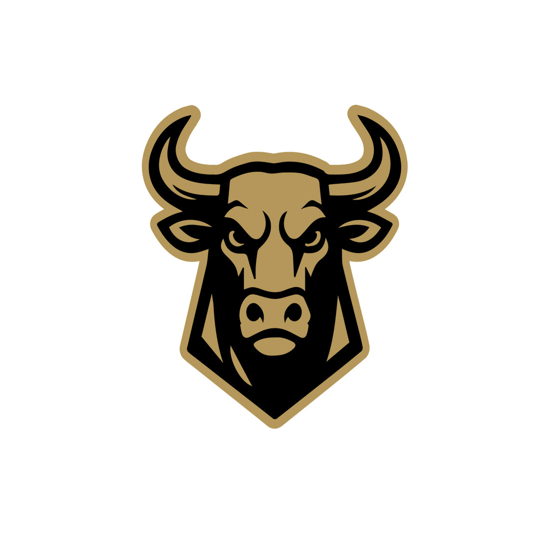 Wild Bull Charging Sticker