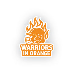 SRH Vibes Everywhere
