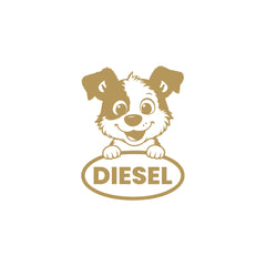 Durable Diesel Tag for Fuel Protection