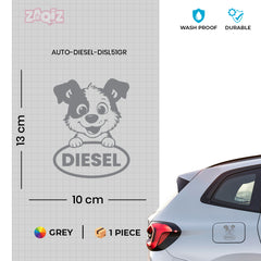 Durable Diesel Tag for Fuel Protection