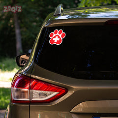 Bold Lettering Doctor on Board Decal