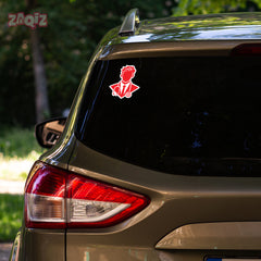 Doctor Awareness Vehicle Decal for Safety