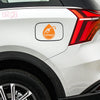 Petrol Only Fuel Tank Label for Cars