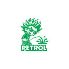Drive Efficiently - Petrol Indicator for Fuel Clarity