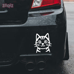 Paw Style Drive