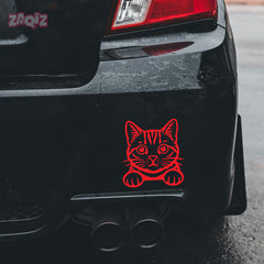Meowtor Power