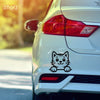 Meow Machine