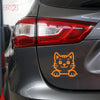 Meow Machine