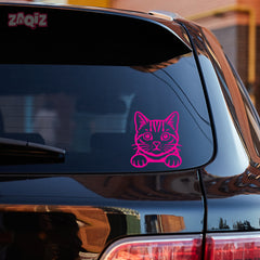 Meowtor Power