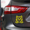 Meow Machine