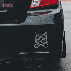 Meowtor Power