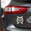 Paw Style Drive