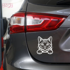 Meowtor Power