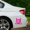 Paw Prints Forever