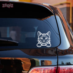 Meowtor Power
