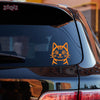 Paw Style Drive