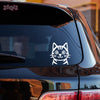 Paw Style Drive