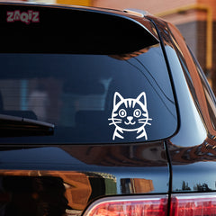 Paw Style Drive