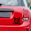 Paw Prints Forever