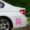 Meowtor Power