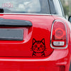 Paw Style Drive