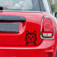 Paw Style Drive
