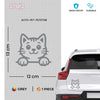 Meow Machine