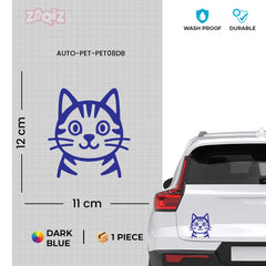 Paw Style Drive
