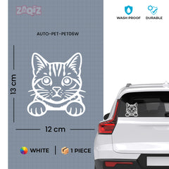 Meowtor Power