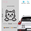 Meow Machine
