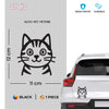 Paw Style Drive