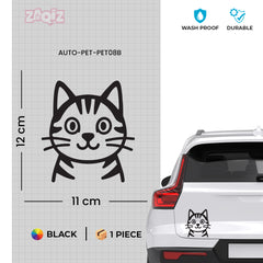 Paw Style Drive