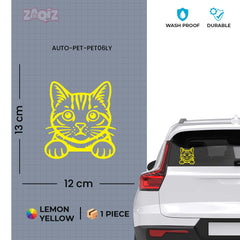 Meowtor Power