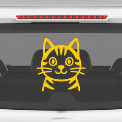 Paw Style Drive