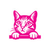 Paw Prints Forever