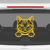 Meowtor Power