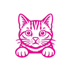 Meowtor Power