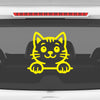 Meow Machine
