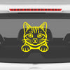 Meowtor Power