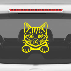 Meowtor Power