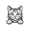 Meowtor Power