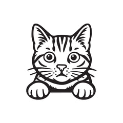 Meowtor Power