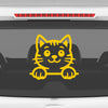 Meow Machine