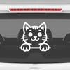 Meow Machine