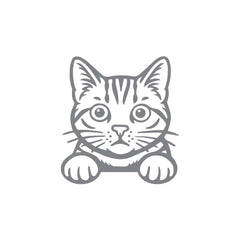 Meowtor Power